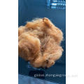 Polyester Staple Fiber Used On Spun Yarn BROWN COLOR POLYESTER STAPLE FIBER Factory